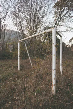 行业观察家
